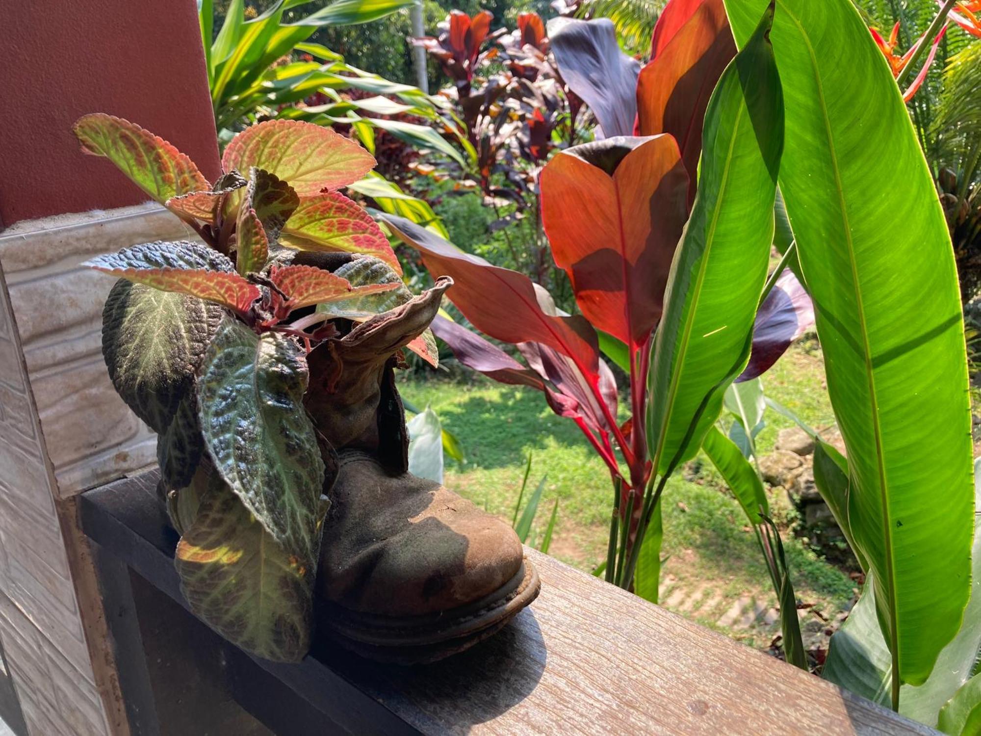 Casa Arariba - Ilha Grande - Vila Do Abraao Екстер'єр фото