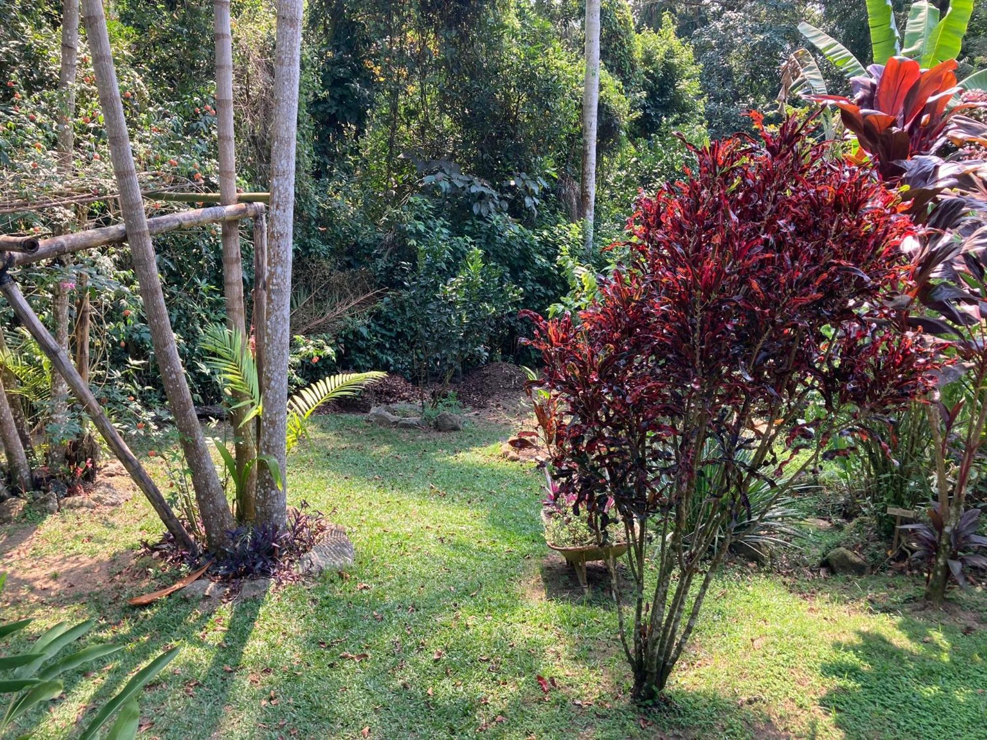 Casa Arariba - Ilha Grande - Vila Do Abraao Екстер'єр фото