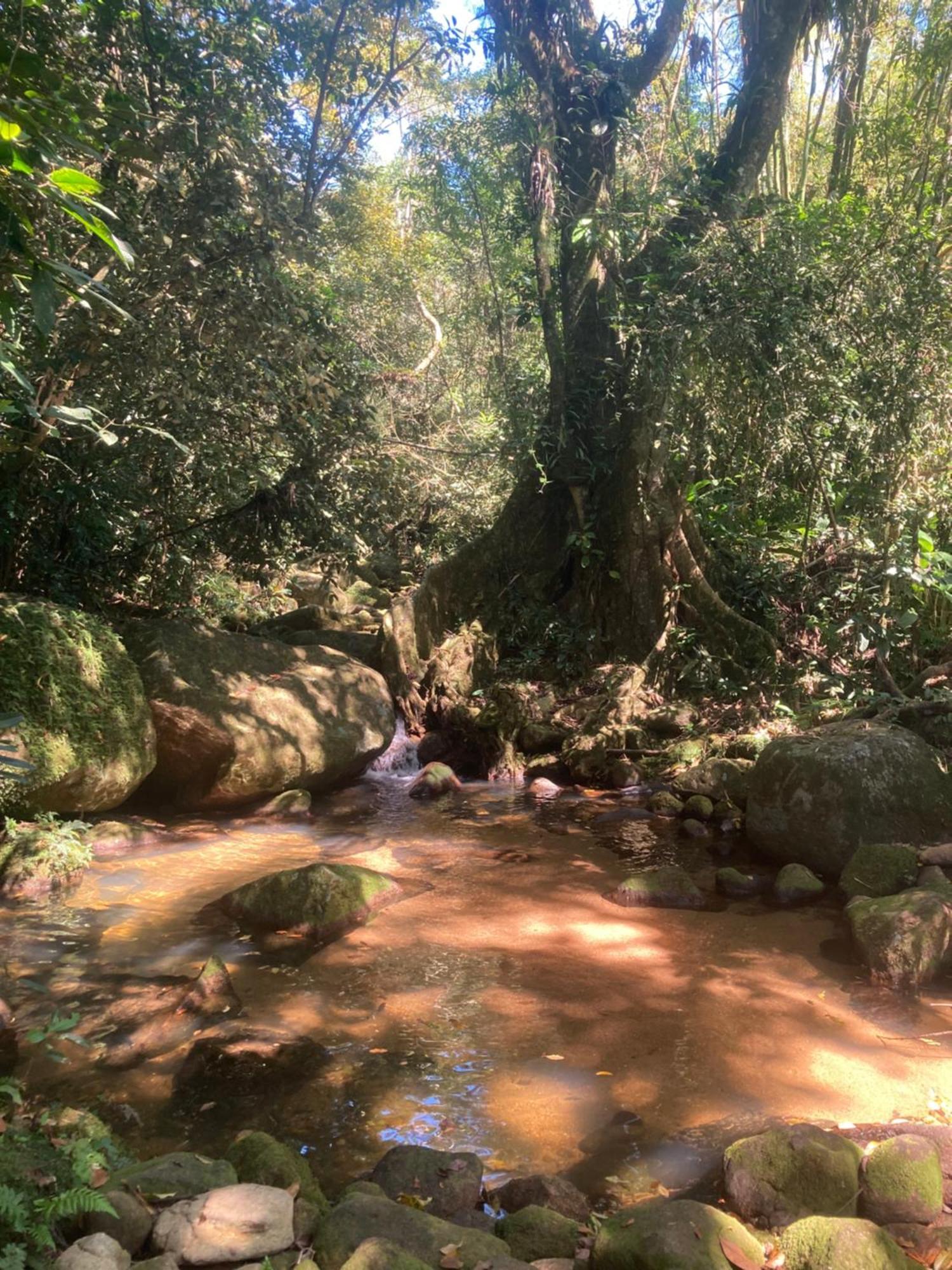 Casa Arariba - Ilha Grande - Vila Do Abraao Екстер'єр фото